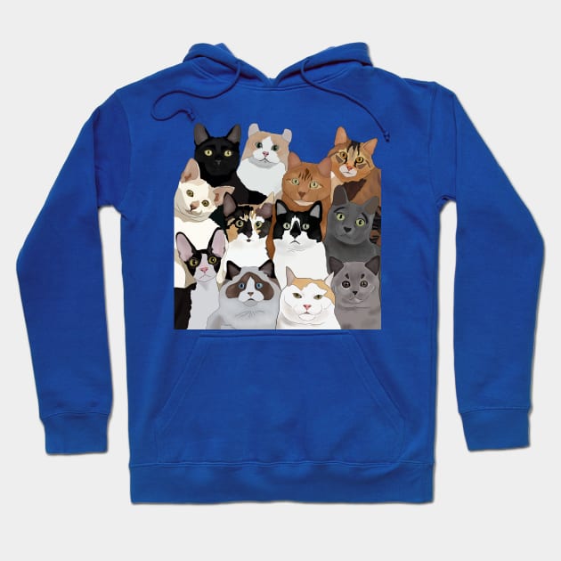 Cat Portrait For Cat Lovers Hoodie by Suneldesigns